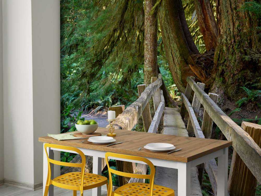 Ponte di legno attraverso la foresta 