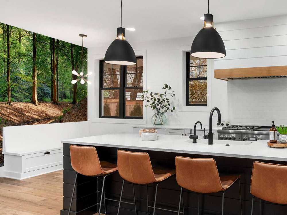 Brooklet nella foresta 