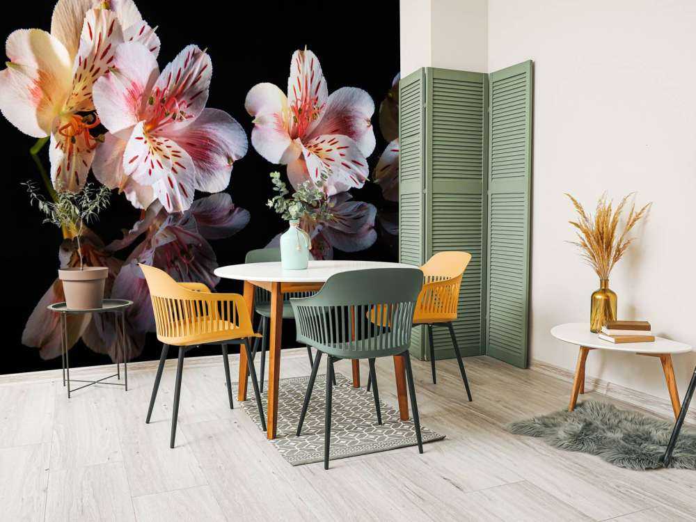 Alstroemeria fiori con riflessione
