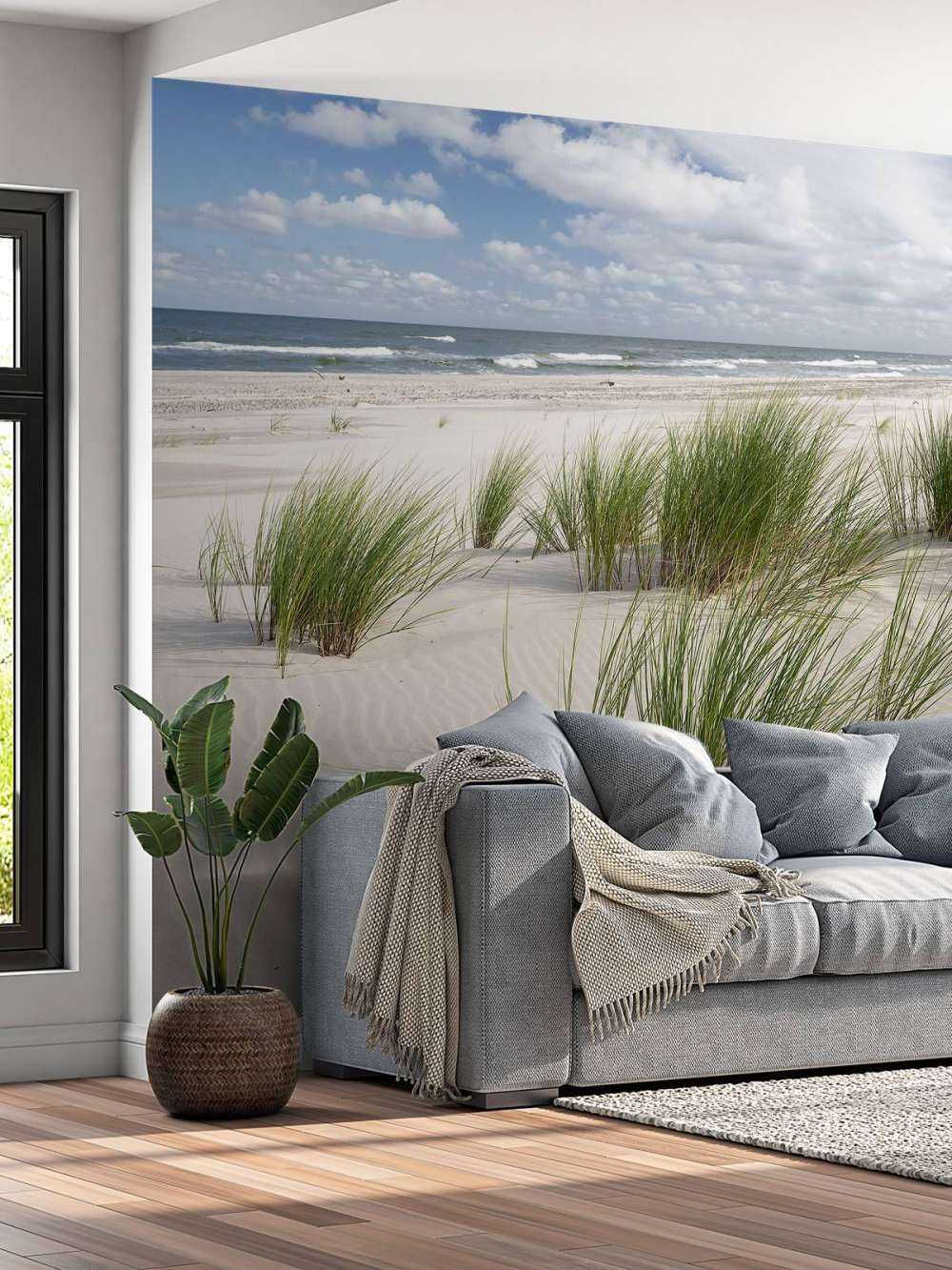 Spiaggia con piante di duna