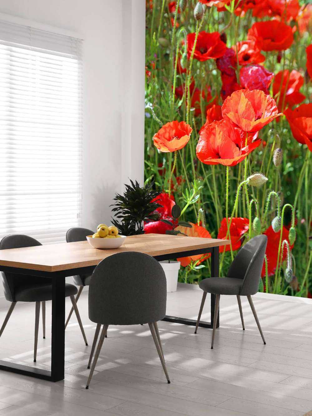 Primo piano di papaveri