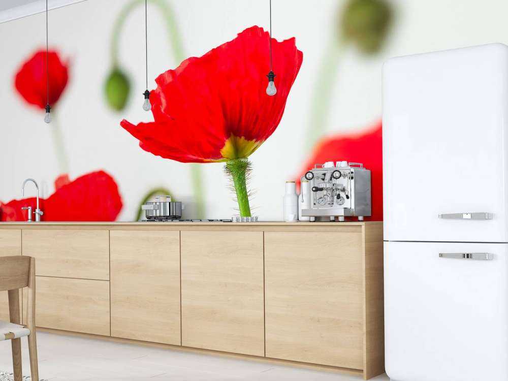 Papaveri rossi ravvicinati