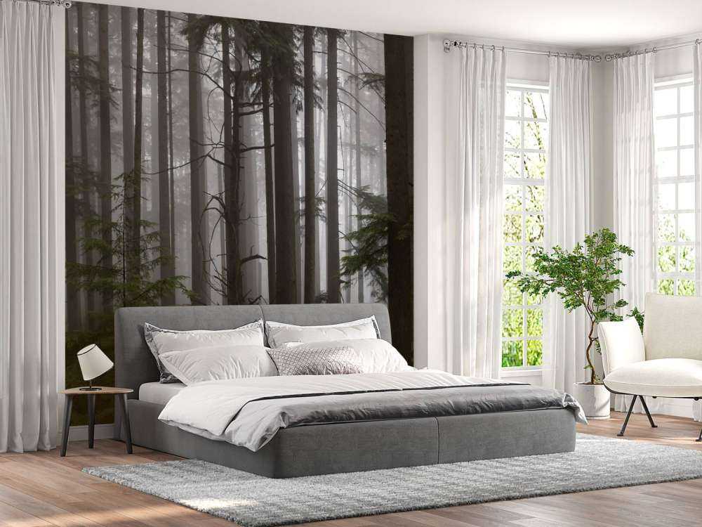 Foresta durante un giorno di nebbia