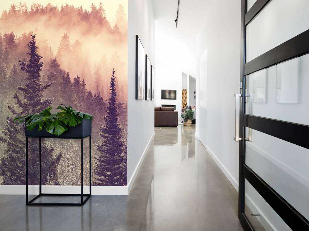 Nebbia nella foresta