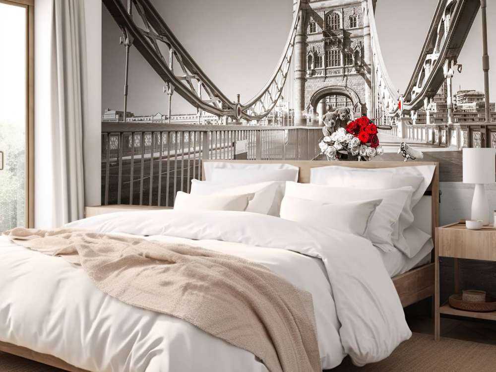 Cuccioli in un cestino da bicicletta