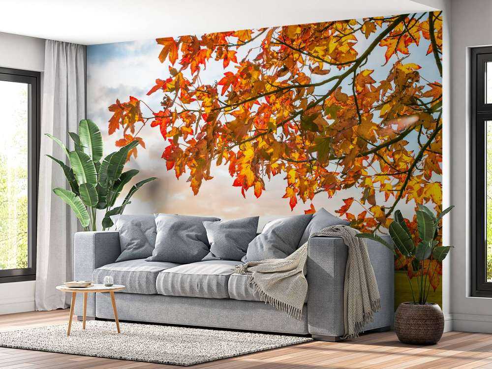 Albero d'autunno al tramonto