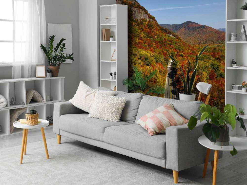 Strada attraverso il paesaggio autunnale