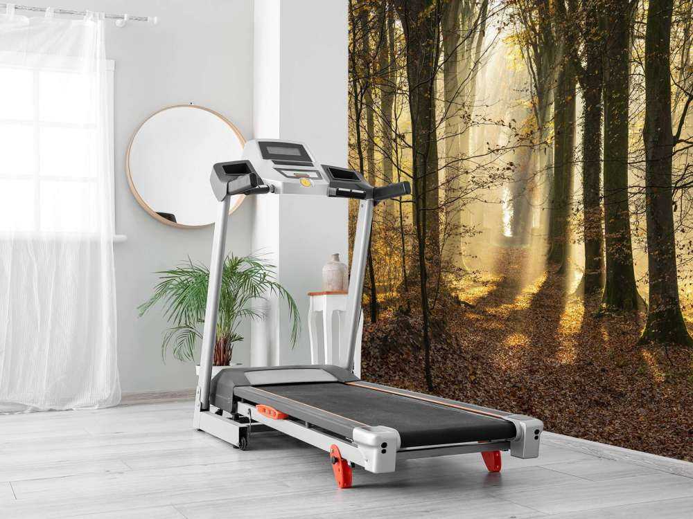 La foresta di Crécy