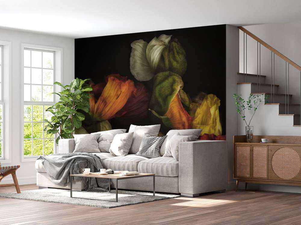 Papaveri compositi in erba