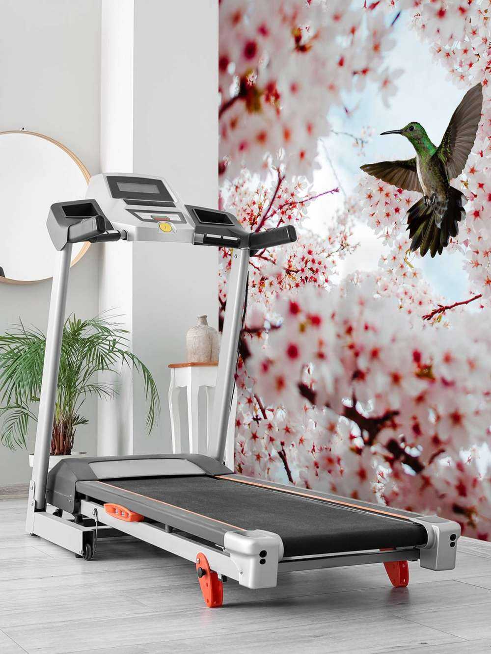 Colibrì tra i fiori