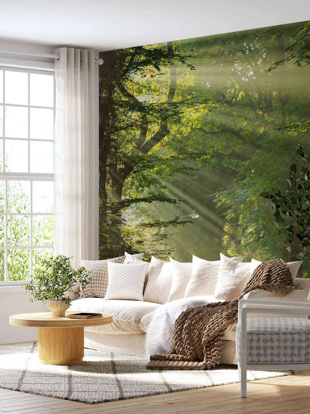 Raggi di sole attraverso gli alberi