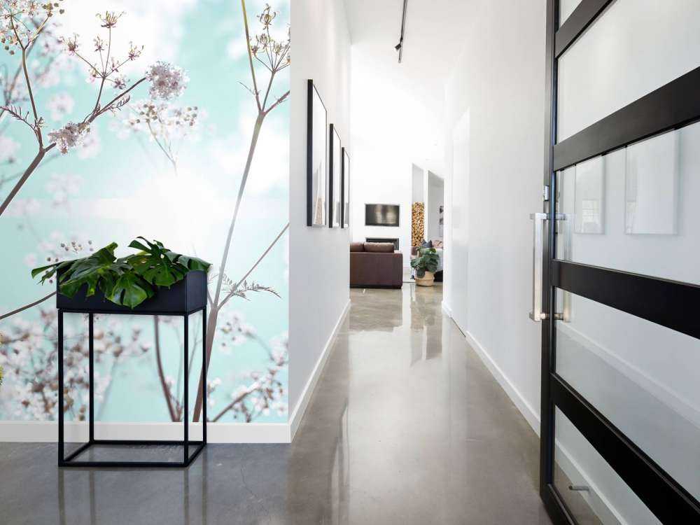 Mandorlo in fiore al sole