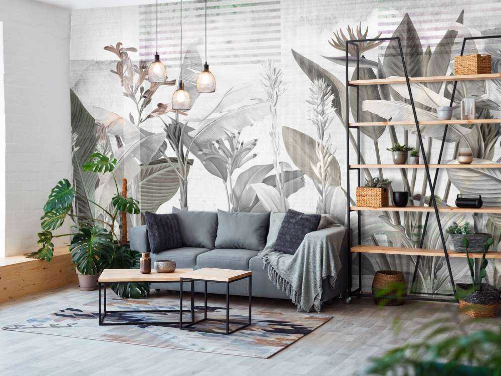 Dreams and Tropics 6