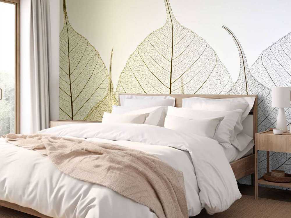 Skeleton leaves on coloured background