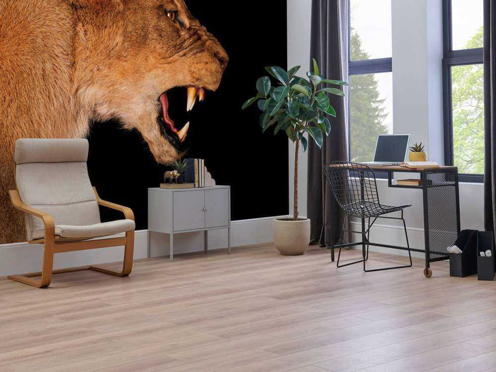 Vista laterale leonessa