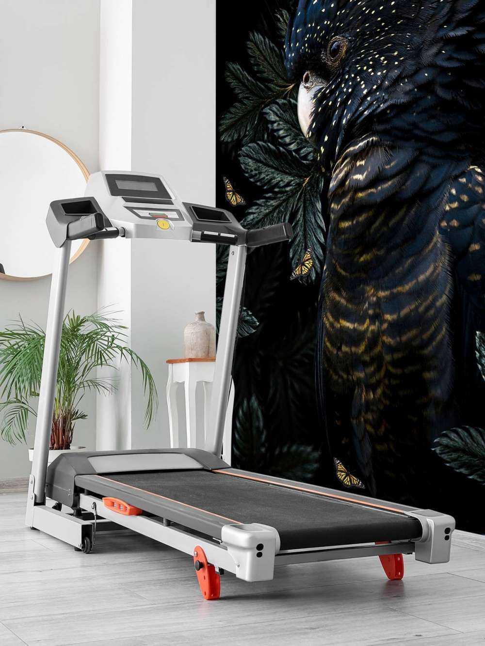 Jungle Cockatoo 2 Portret