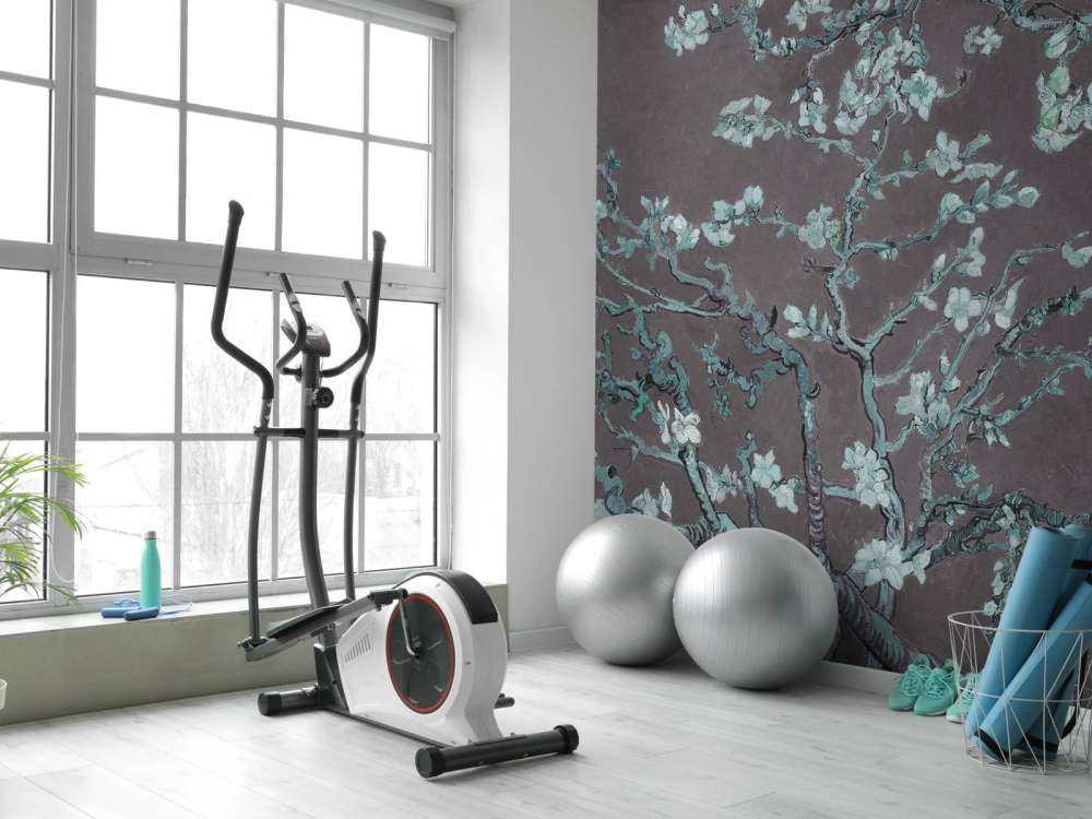 Fiori di mandorlo con sfumature blu