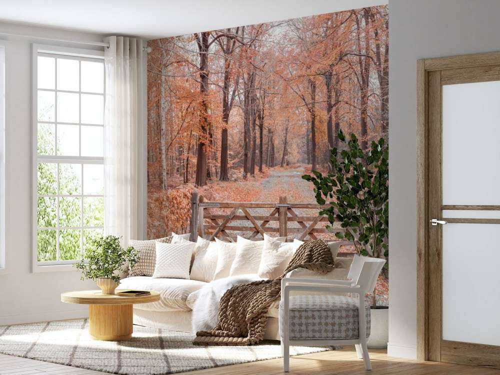 Passaggio alla foresta autunnale