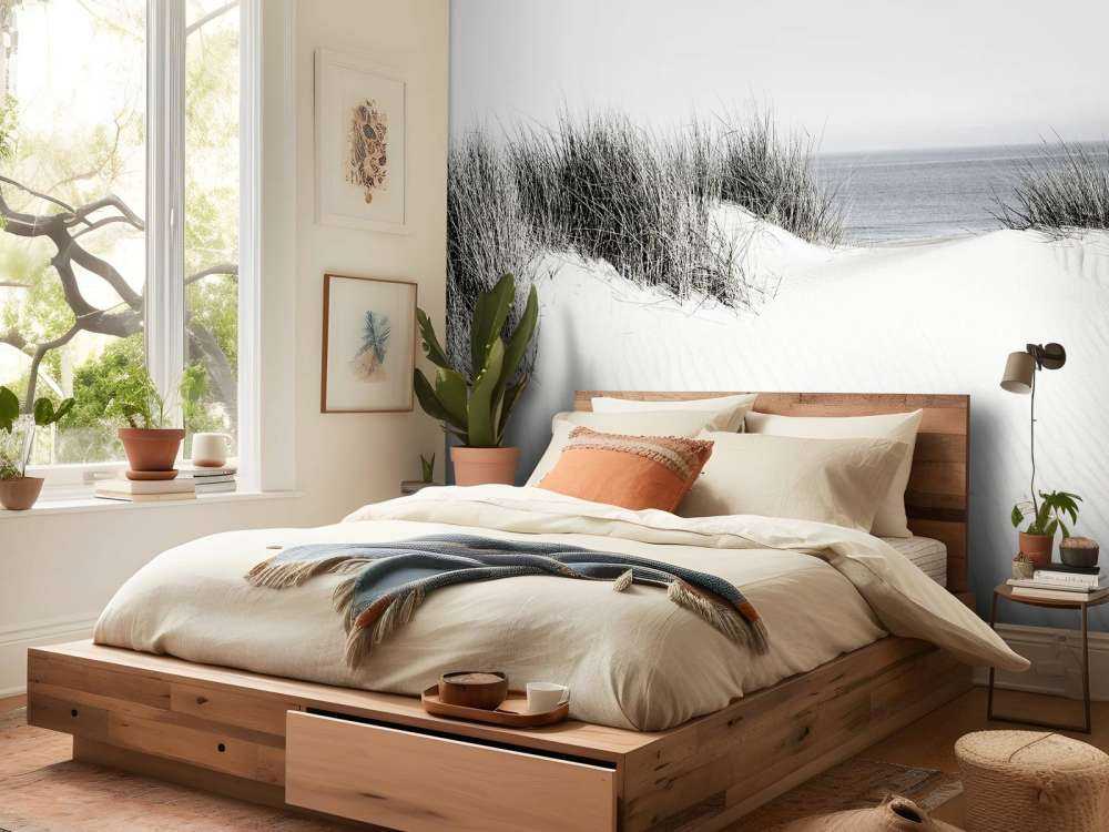 Passaggio dalla duna alla spiaggia in bianco e nero