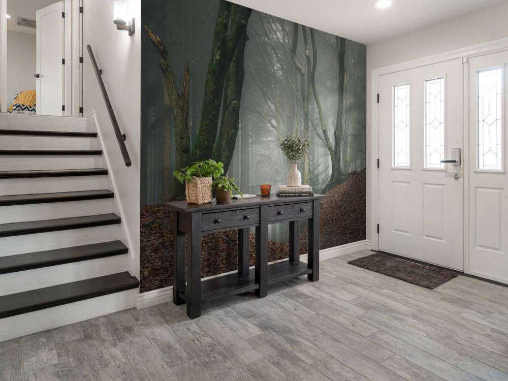 Sentiero attraverso la foresta misteriosa