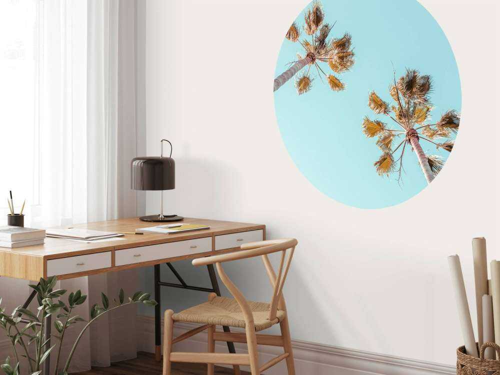 Palme e cielo azzurro