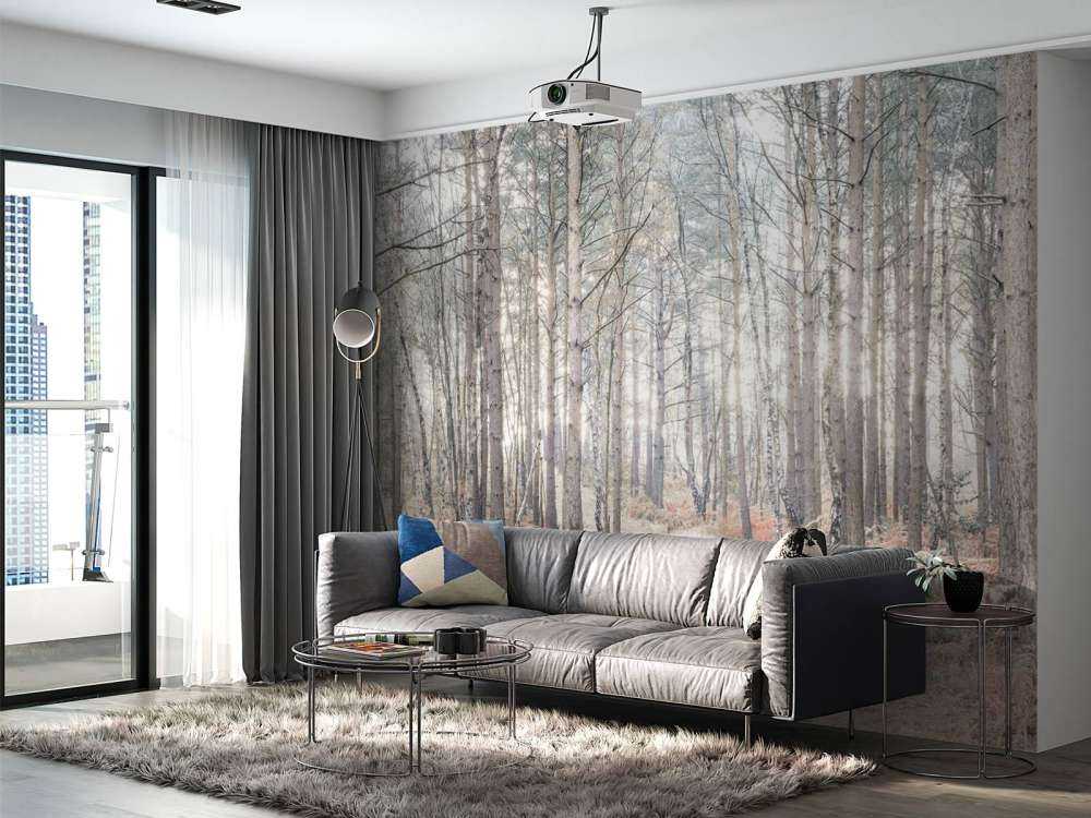 Sentiero sabbioso attraverso la foresta