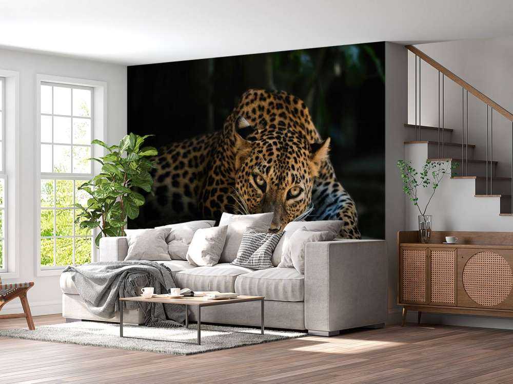 Pantera nella foresta