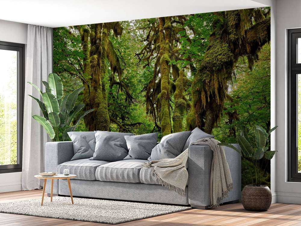 Vecchia foresta selvaggia