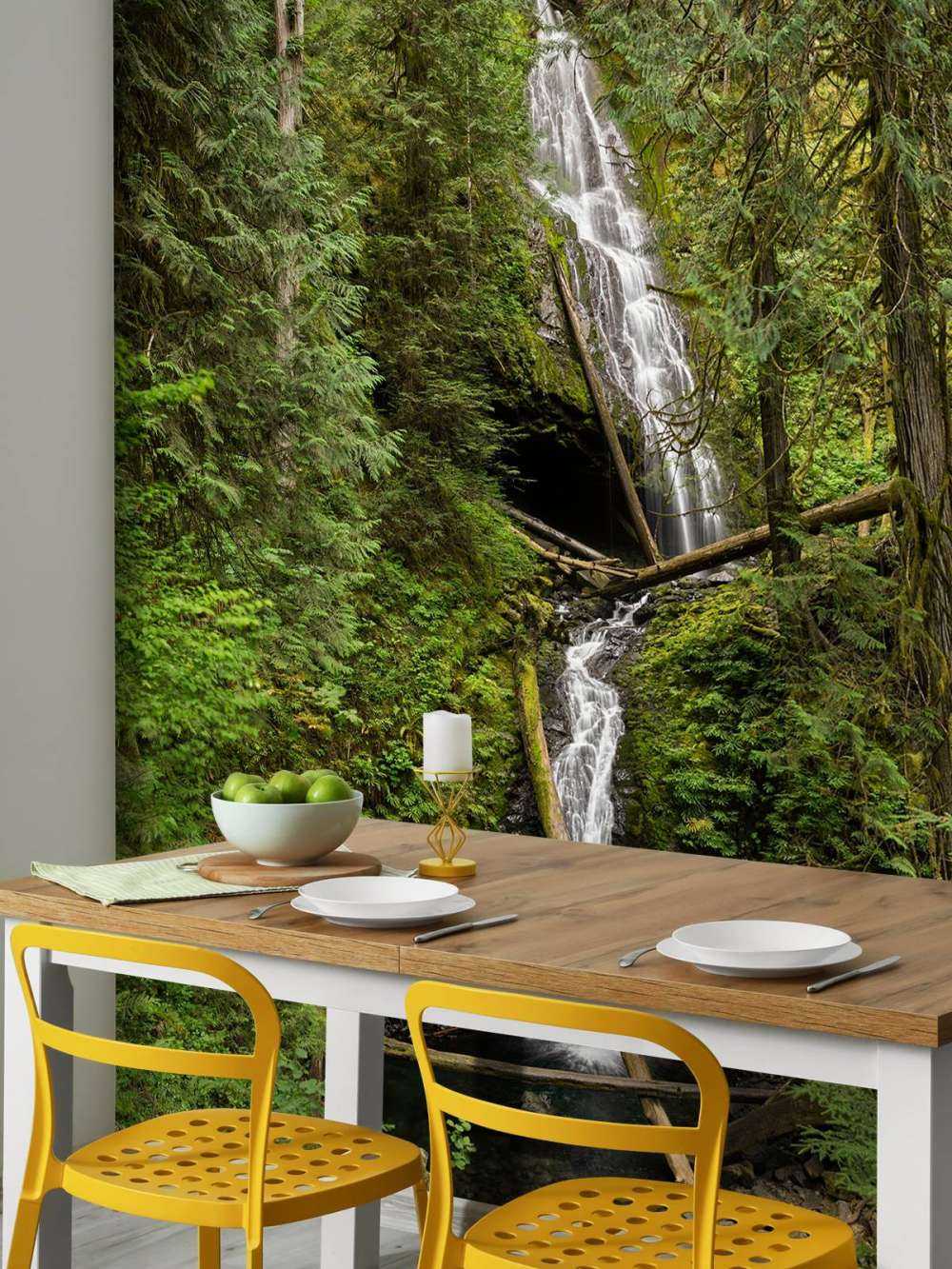 Cascata con alberi caduti