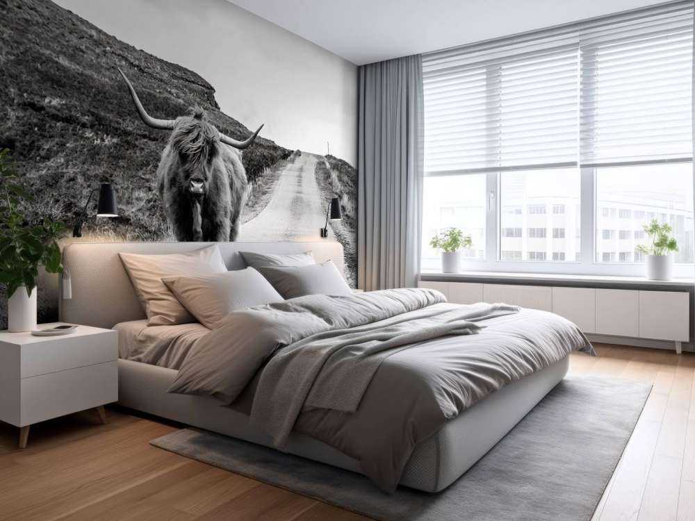 Highlander scozzese su una strada