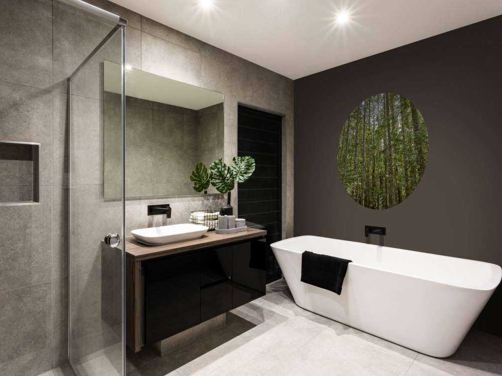 Alberi sottili nella foresta