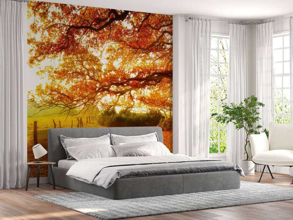 Paesaggio autunnale con bosco e prato