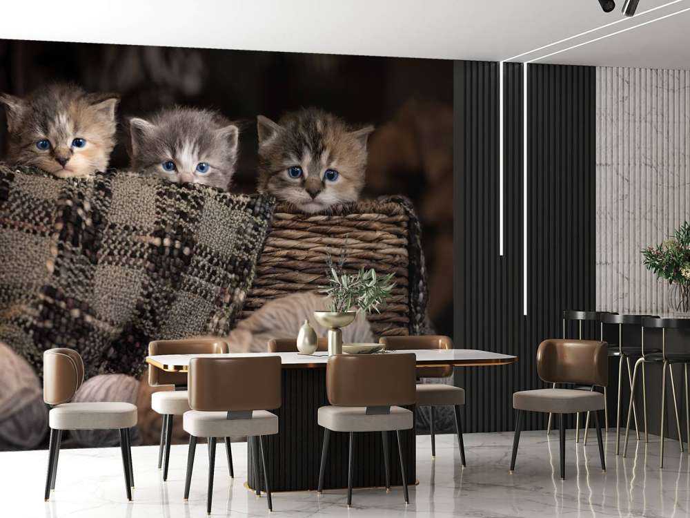 Tre gattini in un cestino