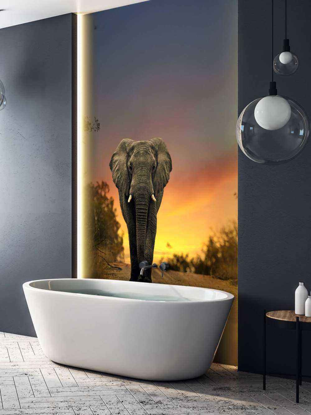 Elefante al tramonto