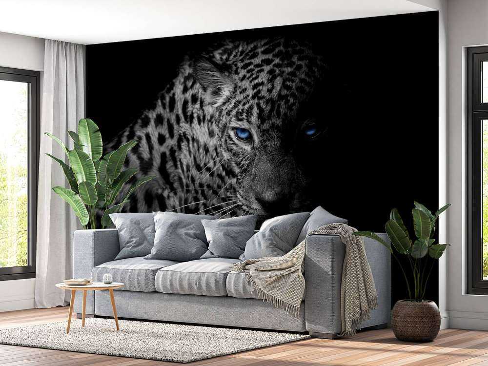 Leopardo su sfondo nero