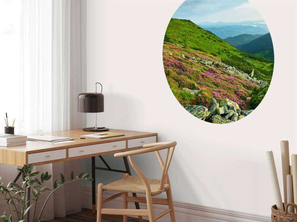 Rododendri in montagna