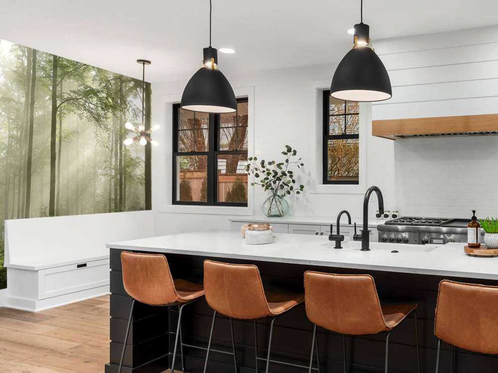 Foresta verde nella nebbia