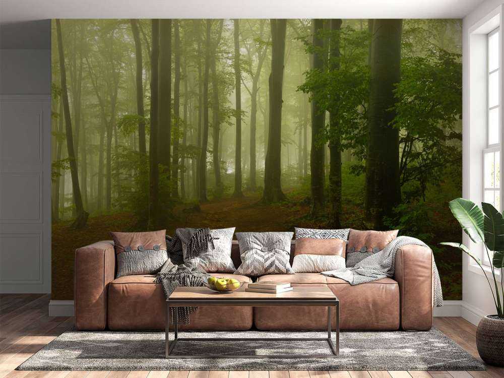 Sentiero attraverso la foresta verde nebbioso