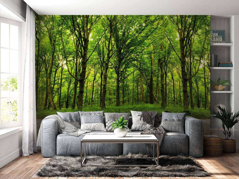 Foresta lussureggiante 