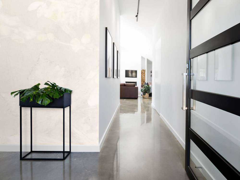 Sneeuwbes e rovo selvatico - gioco d'ombre