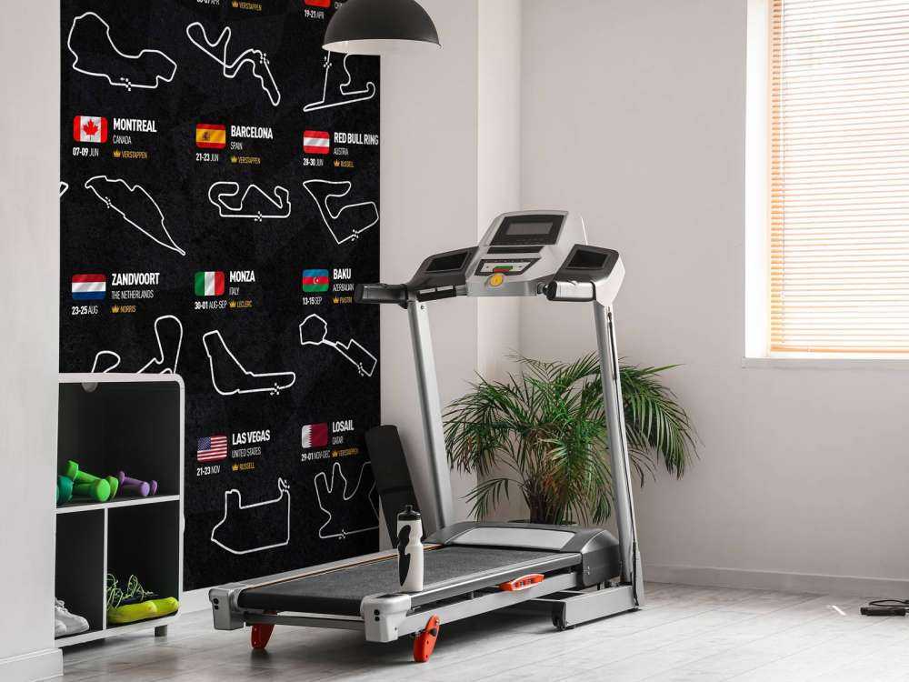 Formule 1 2024 - Mappa dei vincitori