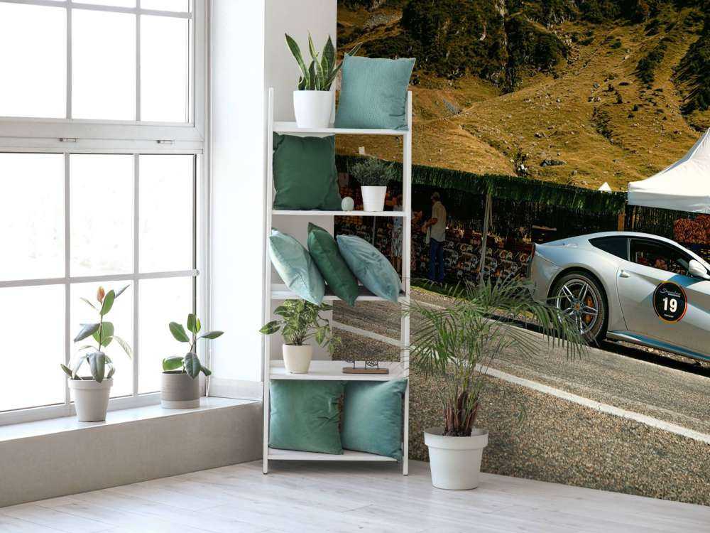 Forza italiana nella natura