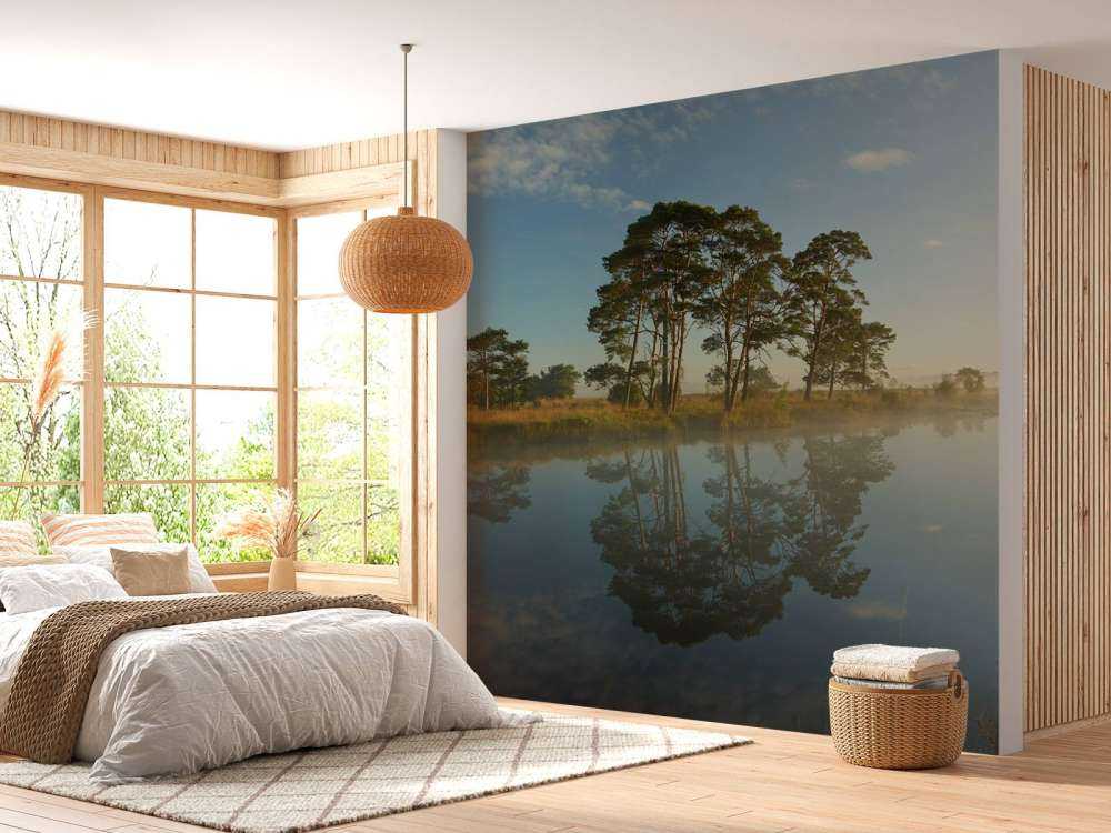 Riflessione nella brughiera