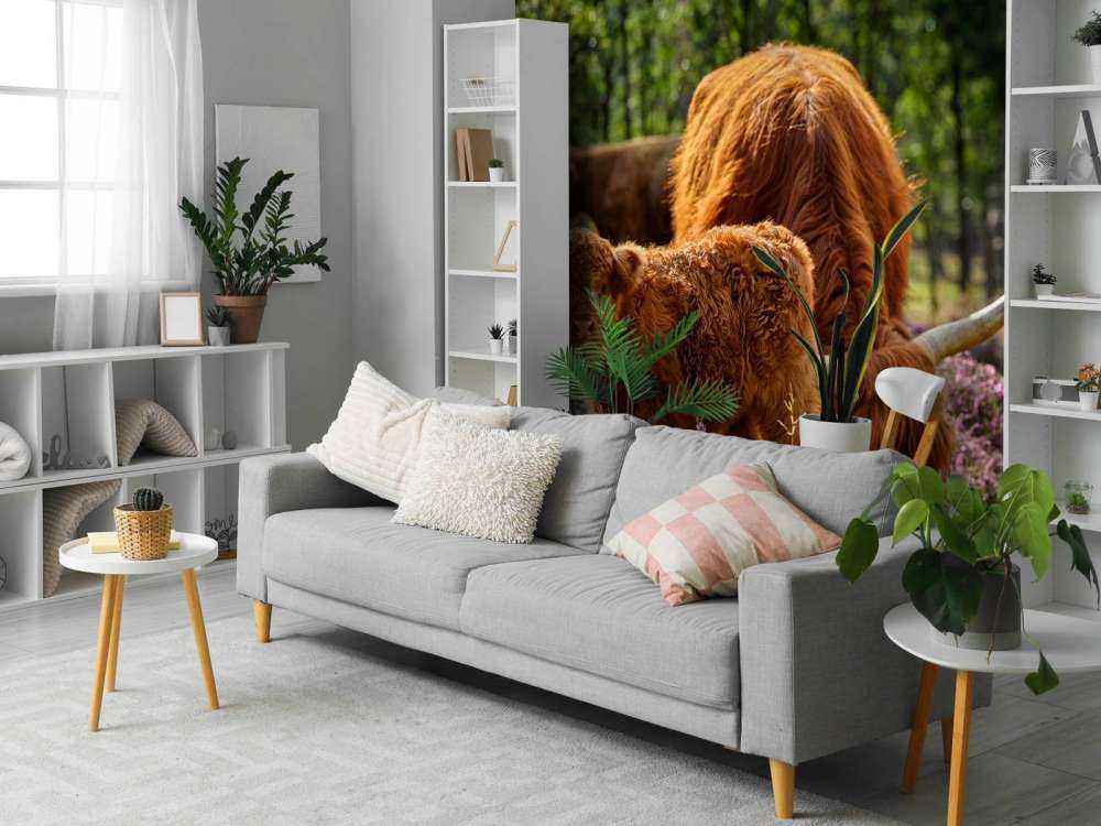 Famiglia Scozzese Highlanders