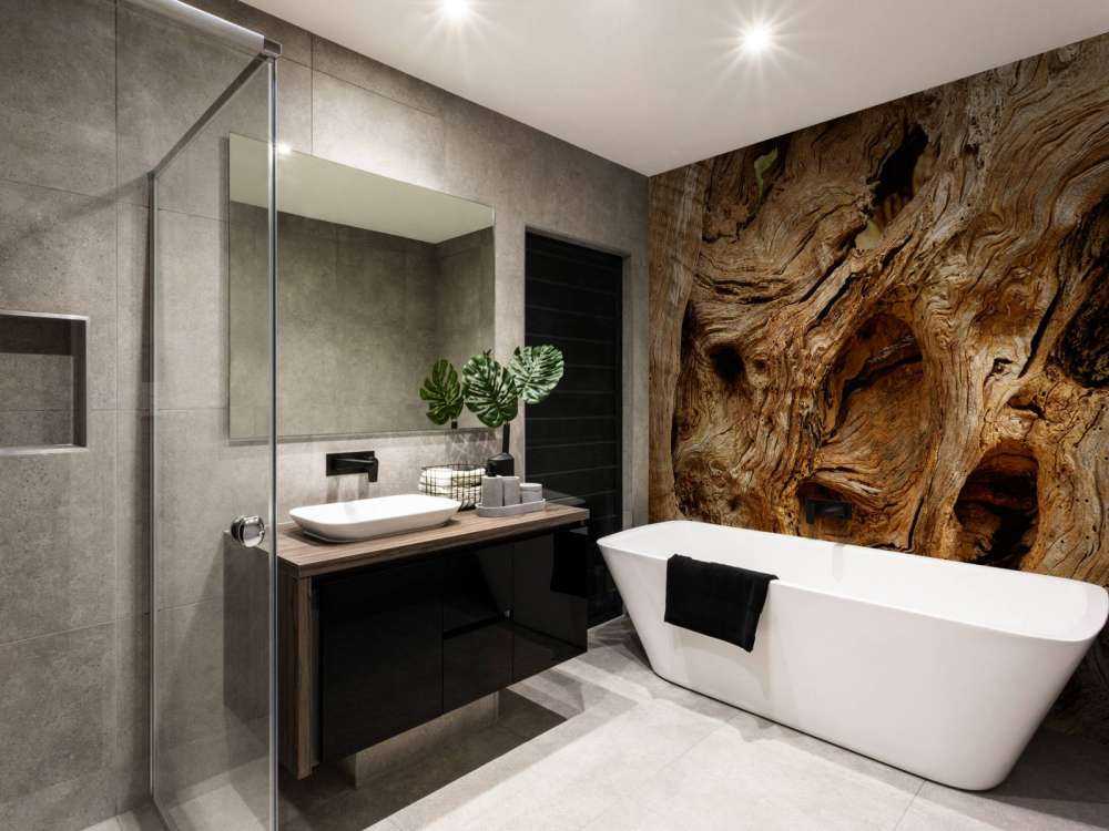 Vecchio albero da vicino