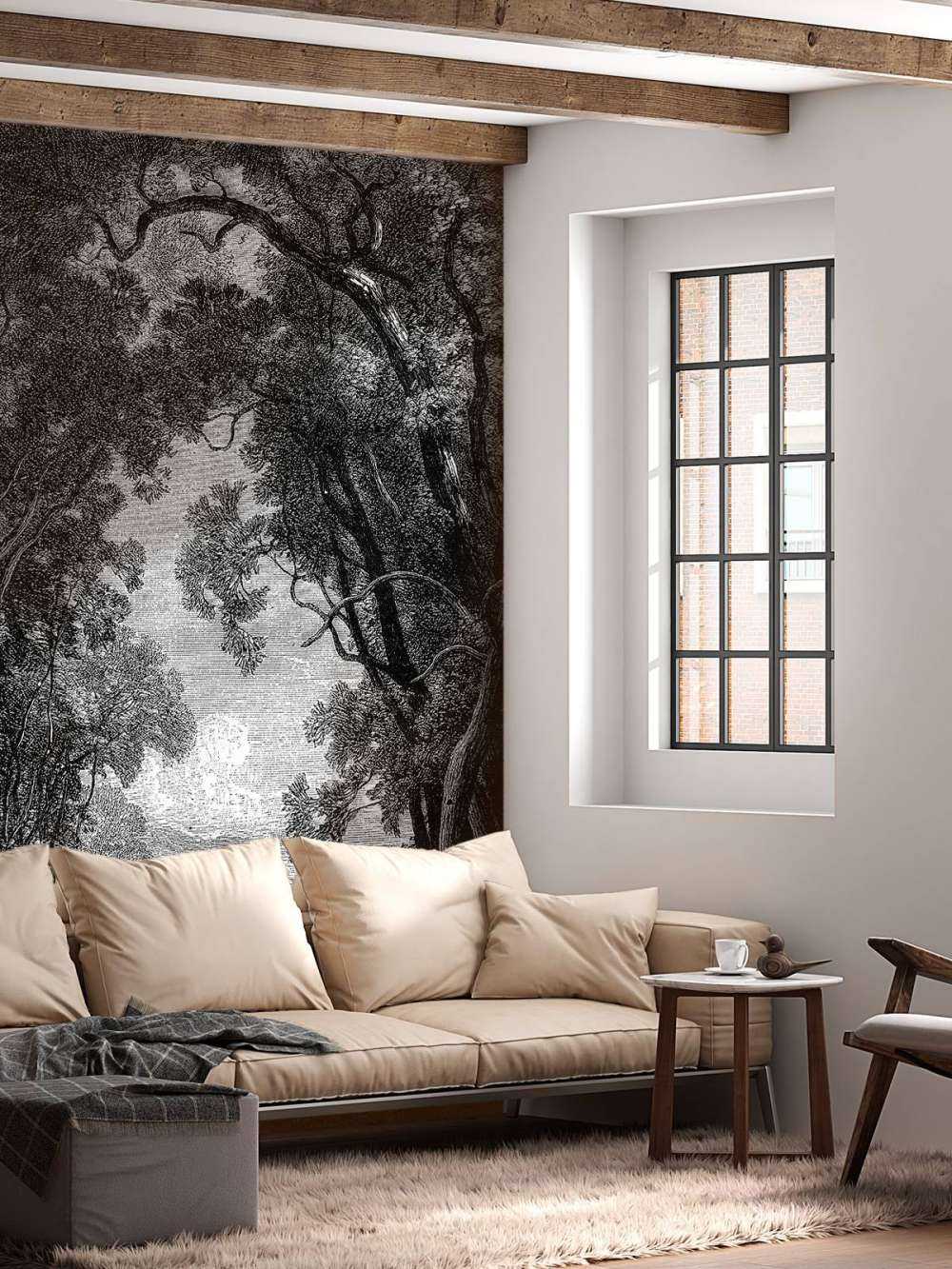 Vecchio fiume nella giungla