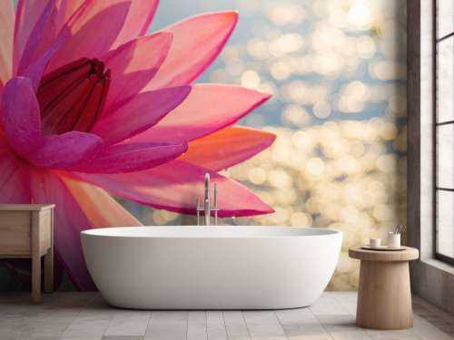 Fiore di loto sull'acqua