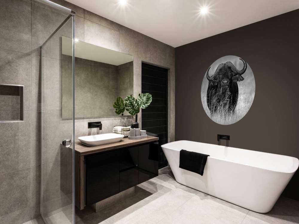 Bufalo in bianco e nero