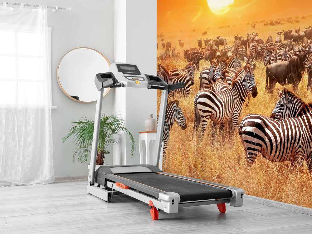 Savana sole con zebre