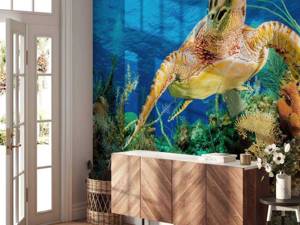 Hawksbill turtle swimming through Caribbean reef